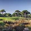 Cornelia Faldo Golf Club Bilder
